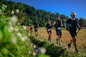 BIB: 
                            <button type="button" onclick="openModal(26575666)" class="btn btn-primary btn-sm float-right btn-popup" data-toggle="modal" data-target=".modal-high-quality">
                        <i class="fas fa-shopping-cart"></i> Add to Cart
                    </button>
                                            <button type="button" onclick="isThisMe(26575666, true)" class="btn btn-success btn-sm float-right btn-popup btn-isme hidden" data-toggle="tooltip" data-placement="bottom" title="นี่คือรูปของคุณใช่ไหม คลิกที่นี่เพื่อเอาเข้าอัลบั้ม">
                        <i class="fas fa-plus"></i> Add to album
                    </button>
                    <button type="button" onclick="isThisMe(26575666, false)" class="btn btn-warning btn-sm float-right btn-popup btn-isnotme hidden">
                        <i class="fas fa-ban"></i> Remove from album
                    </button>