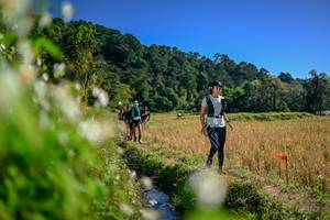 BIB: 
                            <button type="button" onclick="openModal(26575029)" class="btn btn-primary btn-sm float-right btn-popup" data-toggle="modal" data-target=".modal-high-quality">
                        <i class="fas fa-shopping-cart"></i> Add to Cart
                    </button>
                                            <button type="button" onclick="isThisMe(26575029, true)" class="btn btn-success btn-sm float-right btn-popup btn-isme hidden" data-toggle="tooltip" data-placement="bottom" title="นี่คือรูปของคุณใช่ไหม คลิกที่นี่เพื่อเอาเข้าอัลบั้ม">
                        <i class="fas fa-plus"></i> Add to album
                    </button>
                    <button type="button" onclick="isThisMe(26575029, false)" class="btn btn-warning btn-sm float-right btn-popup btn-isnotme hidden">
                        <i class="fas fa-ban"></i> Remove from album
                    </button>