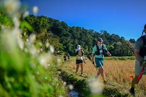 BIB: 
                            <button type="button" onclick="openModal(26572768)" class="btn btn-primary btn-sm float-right btn-popup" data-toggle="modal" data-target=".modal-high-quality">
                        <i class="fas fa-shopping-cart"></i> Add to Cart
                    </button>
                                            <button type="button" onclick="isThisMe(26572768, true)" class="btn btn-success btn-sm float-right btn-popup btn-isme hidden" data-toggle="tooltip" data-placement="bottom" title="นี่คือรูปของคุณใช่ไหม คลิกที่นี่เพื่อเอาเข้าอัลบั้ม">
                        <i class="fas fa-plus"></i> Add to album
                    </button>
                    <button type="button" onclick="isThisMe(26572768, false)" class="btn btn-warning btn-sm float-right btn-popup btn-isnotme hidden">
                        <i class="fas fa-ban"></i> Remove from album
                    </button>