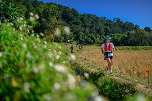 BIB: 
                            <button type="button" onclick="openModal(26582433)" class="btn btn-primary btn-sm float-right btn-popup" data-toggle="modal" data-target=".modal-high-quality">
                        <i class="fas fa-shopping-cart"></i> Add to Cart
                    </button>
                                            <button type="button" onclick="isThisMe(26582433, true)" class="btn btn-success btn-sm float-right btn-popup btn-isme hidden" data-toggle="tooltip" data-placement="bottom" title="นี่คือรูปของคุณใช่ไหม คลิกที่นี่เพื่อเอาเข้าอัลบั้ม">
                        <i class="fas fa-plus"></i> Add to album
                    </button>
                    <button type="button" onclick="isThisMe(26582433, false)" class="btn btn-warning btn-sm float-right btn-popup btn-isnotme hidden">
                        <i class="fas fa-ban"></i> Remove from album
                    </button>