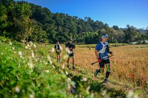 BIB: 
                            <button type="button" onclick="openModal(26571238)" class="btn btn-primary btn-sm float-right btn-popup" data-toggle="modal" data-target=".modal-high-quality">
                        <i class="fas fa-shopping-cart"></i> Add to Cart
                    </button>
                                            <button type="button" onclick="isThisMe(26571238, true)" class="btn btn-success btn-sm float-right btn-popup btn-isme hidden" data-toggle="tooltip" data-placement="bottom" title="นี่คือรูปของคุณใช่ไหม คลิกที่นี่เพื่อเอาเข้าอัลบั้ม">
                        <i class="fas fa-plus"></i> Add to album
                    </button>
                    <button type="button" onclick="isThisMe(26571238, false)" class="btn btn-warning btn-sm float-right btn-popup btn-isnotme hidden">
                        <i class="fas fa-ban"></i> Remove from album
                    </button>