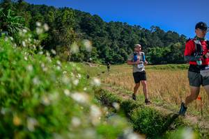 BIB: 
                            <button type="button" onclick="openModal(26581923)" class="btn btn-primary btn-sm float-right btn-popup" data-toggle="modal" data-target=".modal-high-quality">
                        <i class="fas fa-shopping-cart"></i> Add to Cart
                    </button>
                                            <button type="button" onclick="isThisMe(26581923, true)" class="btn btn-success btn-sm float-right btn-popup btn-isme hidden" data-toggle="tooltip" data-placement="bottom" title="นี่คือรูปของคุณใช่ไหม คลิกที่นี่เพื่อเอาเข้าอัลบั้ม">
                        <i class="fas fa-plus"></i> Add to album
                    </button>
                    <button type="button" onclick="isThisMe(26581923, false)" class="btn btn-warning btn-sm float-right btn-popup btn-isnotme hidden">
                        <i class="fas fa-ban"></i> Remove from album
                    </button>