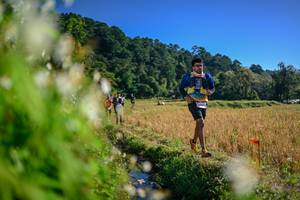 BIB: 
                            <button type="button" onclick="openModal(26572237)" class="btn btn-primary btn-sm float-right btn-popup" data-toggle="modal" data-target=".modal-high-quality">
                        <i class="fas fa-shopping-cart"></i> Add to Cart
                    </button>
                                            <button type="button" onclick="isThisMe(26572237, true)" class="btn btn-success btn-sm float-right btn-popup btn-isme hidden" data-toggle="tooltip" data-placement="bottom" title="นี่คือรูปของคุณใช่ไหม คลิกที่นี่เพื่อเอาเข้าอัลบั้ม">
                        <i class="fas fa-plus"></i> Add to album
                    </button>
                    <button type="button" onclick="isThisMe(26572237, false)" class="btn btn-warning btn-sm float-right btn-popup btn-isnotme hidden">
                        <i class="fas fa-ban"></i> Remove from album
                    </button>