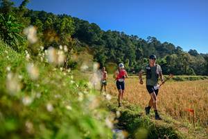 BIB: 
                            <button type="button" onclick="openModal(26571119)" class="btn btn-primary btn-sm float-right btn-popup" data-toggle="modal" data-target=".modal-high-quality">
                        <i class="fas fa-shopping-cart"></i> Add to Cart
                    </button>
                                            <button type="button" onclick="isThisMe(26571119, true)" class="btn btn-success btn-sm float-right btn-popup btn-isme hidden" data-toggle="tooltip" data-placement="bottom" title="นี่คือรูปของคุณใช่ไหม คลิกที่นี่เพื่อเอาเข้าอัลบั้ม">
                        <i class="fas fa-plus"></i> Add to album
                    </button>
                    <button type="button" onclick="isThisMe(26571119, false)" class="btn btn-warning btn-sm float-right btn-popup btn-isnotme hidden">
                        <i class="fas fa-ban"></i> Remove from album
                    </button>