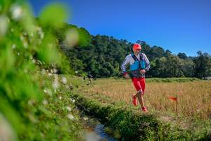 BIB: 
                            <button type="button" onclick="openModal(26580129)" class="btn btn-primary btn-sm float-right btn-popup" data-toggle="modal" data-target=".modal-high-quality">
                        <i class="fas fa-shopping-cart"></i> Add to Cart
                    </button>
                                            <button type="button" onclick="isThisMe(26580129, true)" class="btn btn-success btn-sm float-right btn-popup btn-isme hidden" data-toggle="tooltip" data-placement="bottom" title="นี่คือรูปของคุณใช่ไหม คลิกที่นี่เพื่อเอาเข้าอัลบั้ม">
                        <i class="fas fa-plus"></i> Add to album
                    </button>
                    <button type="button" onclick="isThisMe(26580129, false)" class="btn btn-warning btn-sm float-right btn-popup btn-isnotme hidden">
                        <i class="fas fa-ban"></i> Remove from album
                    </button>