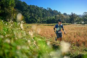 BIB: 
                            <button type="button" onclick="openModal(26570321)" class="btn btn-primary btn-sm float-right btn-popup" data-toggle="modal" data-target=".modal-high-quality">
                        <i class="fas fa-shopping-cart"></i> Add to Cart
                    </button>
                                            <button type="button" onclick="isThisMe(26570321, true)" class="btn btn-success btn-sm float-right btn-popup btn-isme hidden" data-toggle="tooltip" data-placement="bottom" title="นี่คือรูปของคุณใช่ไหม คลิกที่นี่เพื่อเอาเข้าอัลบั้ม">
                        <i class="fas fa-plus"></i> Add to album
                    </button>
                    <button type="button" onclick="isThisMe(26570321, false)" class="btn btn-warning btn-sm float-right btn-popup btn-isnotme hidden">
                        <i class="fas fa-ban"></i> Remove from album
                    </button>