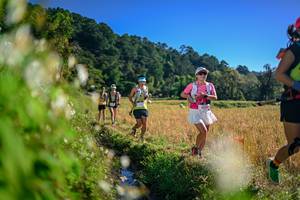 BIB: 
                            <button type="button" onclick="openModal(26571918)" class="btn btn-primary btn-sm float-right btn-popup" data-toggle="modal" data-target=".modal-high-quality">
                        <i class="fas fa-shopping-cart"></i> Add to Cart
                    </button>
                                            <button type="button" onclick="isThisMe(26571918, true)" class="btn btn-success btn-sm float-right btn-popup btn-isme hidden" data-toggle="tooltip" data-placement="bottom" title="นี่คือรูปของคุณใช่ไหม คลิกที่นี่เพื่อเอาเข้าอัลบั้ม">
                        <i class="fas fa-plus"></i> Add to album
                    </button>
                    <button type="button" onclick="isThisMe(26571918, false)" class="btn btn-warning btn-sm float-right btn-popup btn-isnotme hidden">
                        <i class="fas fa-ban"></i> Remove from album
                    </button>