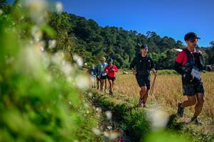 BIB: 
                            <button type="button" onclick="openModal(26574625)" class="btn btn-primary btn-sm float-right btn-popup" data-toggle="modal" data-target=".modal-high-quality">
                        <i class="fas fa-shopping-cart"></i> Add to Cart
                    </button>
                                            <button type="button" onclick="isThisMe(26574625, true)" class="btn btn-success btn-sm float-right btn-popup btn-isme hidden" data-toggle="tooltip" data-placement="bottom" title="นี่คือรูปของคุณใช่ไหม คลิกที่นี่เพื่อเอาเข้าอัลบั้ม">
                        <i class="fas fa-plus"></i> Add to album
                    </button>
                    <button type="button" onclick="isThisMe(26574625, false)" class="btn btn-warning btn-sm float-right btn-popup btn-isnotme hidden">
                        <i class="fas fa-ban"></i> Remove from album
                    </button>