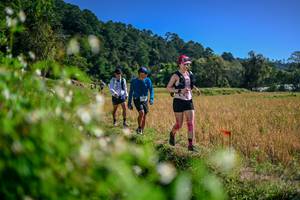 BIB: 
                            <button type="button" onclick="openModal(26581491)" class="btn btn-primary btn-sm float-right btn-popup" data-toggle="modal" data-target=".modal-high-quality">
                        <i class="fas fa-shopping-cart"></i> Add to Cart
                    </button>
                                            <button type="button" onclick="isThisMe(26581491, true)" class="btn btn-success btn-sm float-right btn-popup btn-isme hidden" data-toggle="tooltip" data-placement="bottom" title="นี่คือรูปของคุณใช่ไหม คลิกที่นี่เพื่อเอาเข้าอัลบั้ม">
                        <i class="fas fa-plus"></i> Add to album
                    </button>
                    <button type="button" onclick="isThisMe(26581491, false)" class="btn btn-warning btn-sm float-right btn-popup btn-isnotme hidden">
                        <i class="fas fa-ban"></i> Remove from album
                    </button>