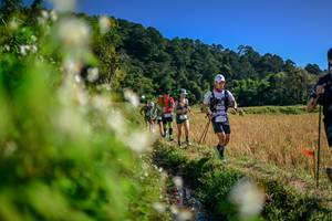 BIB: 
                            <button type="button" onclick="openModal(26574350)" class="btn btn-primary btn-sm float-right btn-popup" data-toggle="modal" data-target=".modal-high-quality">
                        <i class="fas fa-shopping-cart"></i> Add to Cart
                    </button>
                                            <button type="button" onclick="isThisMe(26574350, true)" class="btn btn-success btn-sm float-right btn-popup btn-isme hidden" data-toggle="tooltip" data-placement="bottom" title="นี่คือรูปของคุณใช่ไหม คลิกที่นี่เพื่อเอาเข้าอัลบั้ม">
                        <i class="fas fa-plus"></i> Add to album
                    </button>
                    <button type="button" onclick="isThisMe(26574350, false)" class="btn btn-warning btn-sm float-right btn-popup btn-isnotme hidden">
                        <i class="fas fa-ban"></i> Remove from album
                    </button>