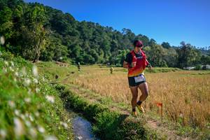 BIB: 
                            <button type="button" onclick="openModal(26576420)" class="btn btn-primary btn-sm float-right btn-popup" data-toggle="modal" data-target=".modal-high-quality">
                        <i class="fas fa-shopping-cart"></i> Add to Cart
                    </button>
                                            <button type="button" onclick="isThisMe(26576420, true)" class="btn btn-success btn-sm float-right btn-popup btn-isme hidden" data-toggle="tooltip" data-placement="bottom" title="นี่คือรูปของคุณใช่ไหม คลิกที่นี่เพื่อเอาเข้าอัลบั้ม">
                        <i class="fas fa-plus"></i> Add to album
                    </button>
                    <button type="button" onclick="isThisMe(26576420, false)" class="btn btn-warning btn-sm float-right btn-popup btn-isnotme hidden">
                        <i class="fas fa-ban"></i> Remove from album
                    </button>