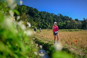 BIB: 
                            <button type="button" onclick="openModal(26574887)" class="btn btn-primary btn-sm float-right btn-popup" data-toggle="modal" data-target=".modal-high-quality">
                        <i class="fas fa-shopping-cart"></i> Add to Cart
                    </button>
                                            <button type="button" onclick="isThisMe(26574887, true)" class="btn btn-success btn-sm float-right btn-popup btn-isme hidden" data-toggle="tooltip" data-placement="bottom" title="นี่คือรูปของคุณใช่ไหม คลิกที่นี่เพื่อเอาเข้าอัลบั้ม">
                        <i class="fas fa-plus"></i> Add to album
                    </button>
                    <button type="button" onclick="isThisMe(26574887, false)" class="btn btn-warning btn-sm float-right btn-popup btn-isnotme hidden">
                        <i class="fas fa-ban"></i> Remove from album
                    </button>