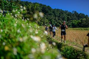 BIB: 
                            <button type="button" onclick="openModal(26583147)" class="btn btn-primary btn-sm float-right btn-popup" data-toggle="modal" data-target=".modal-high-quality">
                        <i class="fas fa-shopping-cart"></i> Add to Cart
                    </button>
                                            <button type="button" onclick="isThisMe(26583147, true)" class="btn btn-success btn-sm float-right btn-popup btn-isme hidden" data-toggle="tooltip" data-placement="bottom" title="นี่คือรูปของคุณใช่ไหม คลิกที่นี่เพื่อเอาเข้าอัลบั้ม">
                        <i class="fas fa-plus"></i> Add to album
                    </button>
                    <button type="button" onclick="isThisMe(26583147, false)" class="btn btn-warning btn-sm float-right btn-popup btn-isnotme hidden">
                        <i class="fas fa-ban"></i> Remove from album
                    </button>