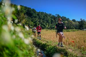 BIB: 
                            <button type="button" onclick="openModal(26575123)" class="btn btn-primary btn-sm float-right btn-popup" data-toggle="modal" data-target=".modal-high-quality">
                        <i class="fas fa-shopping-cart"></i> Add to Cart
                    </button>
                                            <button type="button" onclick="isThisMe(26575123, true)" class="btn btn-success btn-sm float-right btn-popup btn-isme hidden" data-toggle="tooltip" data-placement="bottom" title="นี่คือรูปของคุณใช่ไหม คลิกที่นี่เพื่อเอาเข้าอัลบั้ม">
                        <i class="fas fa-plus"></i> Add to album
                    </button>
                    <button type="button" onclick="isThisMe(26575123, false)" class="btn btn-warning btn-sm float-right btn-popup btn-isnotme hidden">
                        <i class="fas fa-ban"></i> Remove from album
                    </button>