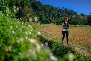 BIB: 
                            <button type="button" onclick="openModal(26581796)" class="btn btn-primary btn-sm float-right btn-popup" data-toggle="modal" data-target=".modal-high-quality">
                        <i class="fas fa-shopping-cart"></i> Add to Cart
                    </button>
                                            <button type="button" onclick="isThisMe(26581796, true)" class="btn btn-success btn-sm float-right btn-popup btn-isme hidden" data-toggle="tooltip" data-placement="bottom" title="นี่คือรูปของคุณใช่ไหม คลิกที่นี่เพื่อเอาเข้าอัลบั้ม">
                        <i class="fas fa-plus"></i> Add to album
                    </button>
                    <button type="button" onclick="isThisMe(26581796, false)" class="btn btn-warning btn-sm float-right btn-popup btn-isnotme hidden">
                        <i class="fas fa-ban"></i> Remove from album
                    </button>