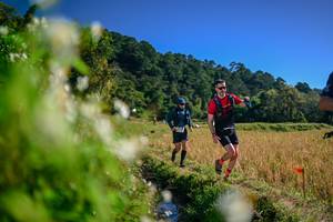 BIB: 
                            <button type="button" onclick="openModal(26573660)" class="btn btn-primary btn-sm float-right btn-popup" data-toggle="modal" data-target=".modal-high-quality">
                        <i class="fas fa-shopping-cart"></i> Add to Cart
                    </button>
                                            <button type="button" onclick="isThisMe(26573660, true)" class="btn btn-success btn-sm float-right btn-popup btn-isme hidden" data-toggle="tooltip" data-placement="bottom" title="นี่คือรูปของคุณใช่ไหม คลิกที่นี่เพื่อเอาเข้าอัลบั้ม">
                        <i class="fas fa-plus"></i> Add to album
                    </button>
                    <button type="button" onclick="isThisMe(26573660, false)" class="btn btn-warning btn-sm float-right btn-popup btn-isnotme hidden">
                        <i class="fas fa-ban"></i> Remove from album
                    </button>