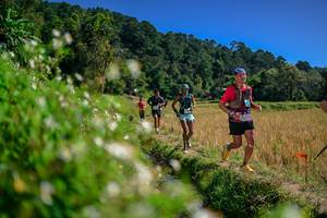 BIB: 
                            <button type="button" onclick="openModal(26582242)" class="btn btn-primary btn-sm float-right btn-popup" data-toggle="modal" data-target=".modal-high-quality">
                        <i class="fas fa-shopping-cart"></i> Add to Cart
                    </button>
                                            <button type="button" onclick="isThisMe(26582242, true)" class="btn btn-success btn-sm float-right btn-popup btn-isme hidden" data-toggle="tooltip" data-placement="bottom" title="นี่คือรูปของคุณใช่ไหม คลิกที่นี่เพื่อเอาเข้าอัลบั้ม">
                        <i class="fas fa-plus"></i> Add to album
                    </button>
                    <button type="button" onclick="isThisMe(26582242, false)" class="btn btn-warning btn-sm float-right btn-popup btn-isnotme hidden">
                        <i class="fas fa-ban"></i> Remove from album
                    </button>