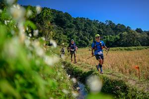 BIB: 
                            <button type="button" onclick="openModal(26574785)" class="btn btn-primary btn-sm float-right btn-popup" data-toggle="modal" data-target=".modal-high-quality">
                        <i class="fas fa-shopping-cart"></i> Add to Cart
                    </button>
                                            <button type="button" onclick="isThisMe(26574785, true)" class="btn btn-success btn-sm float-right btn-popup btn-isme hidden" data-toggle="tooltip" data-placement="bottom" title="นี่คือรูปของคุณใช่ไหม คลิกที่นี่เพื่อเอาเข้าอัลบั้ม">
                        <i class="fas fa-plus"></i> Add to album
                    </button>
                    <button type="button" onclick="isThisMe(26574785, false)" class="btn btn-warning btn-sm float-right btn-popup btn-isnotme hidden">
                        <i class="fas fa-ban"></i> Remove from album
                    </button>