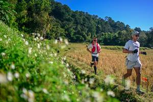 BIB: 
                            <button type="button" onclick="openModal(26571377)" class="btn btn-primary btn-sm float-right btn-popup" data-toggle="modal" data-target=".modal-high-quality">
                        <i class="fas fa-shopping-cart"></i> Add to Cart
                    </button>
                                            <button type="button" onclick="isThisMe(26571377, true)" class="btn btn-success btn-sm float-right btn-popup btn-isme hidden" data-toggle="tooltip" data-placement="bottom" title="นี่คือรูปของคุณใช่ไหม คลิกที่นี่เพื่อเอาเข้าอัลบั้ม">
                        <i class="fas fa-plus"></i> Add to album
                    </button>
                    <button type="button" onclick="isThisMe(26571377, false)" class="btn btn-warning btn-sm float-right btn-popup btn-isnotme hidden">
                        <i class="fas fa-ban"></i> Remove from album
                    </button>