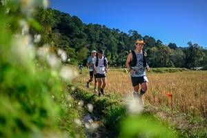 BIB: 
                            <button type="button" onclick="openModal(26574302)" class="btn btn-primary btn-sm float-right btn-popup" data-toggle="modal" data-target=".modal-high-quality">
                        <i class="fas fa-shopping-cart"></i> Add to Cart
                    </button>
                                            <button type="button" onclick="isThisMe(26574302, true)" class="btn btn-success btn-sm float-right btn-popup btn-isme hidden" data-toggle="tooltip" data-placement="bottom" title="นี่คือรูปของคุณใช่ไหม คลิกที่นี่เพื่อเอาเข้าอัลบั้ม">
                        <i class="fas fa-plus"></i> Add to album
                    </button>
                    <button type="button" onclick="isThisMe(26574302, false)" class="btn btn-warning btn-sm float-right btn-popup btn-isnotme hidden">
                        <i class="fas fa-ban"></i> Remove from album
                    </button>