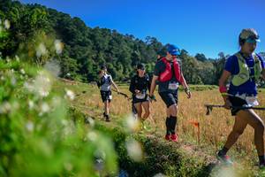 BIB: 
                            <button type="button" onclick="openModal(26579641)" class="btn btn-primary btn-sm float-right btn-popup" data-toggle="modal" data-target=".modal-high-quality">
                        <i class="fas fa-shopping-cart"></i> Add to Cart
                    </button>
                                            <button type="button" onclick="isThisMe(26579641, true)" class="btn btn-success btn-sm float-right btn-popup btn-isme hidden" data-toggle="tooltip" data-placement="bottom" title="นี่คือรูปของคุณใช่ไหม คลิกที่นี่เพื่อเอาเข้าอัลบั้ม">
                        <i class="fas fa-plus"></i> Add to album
                    </button>
                    <button type="button" onclick="isThisMe(26579641, false)" class="btn btn-warning btn-sm float-right btn-popup btn-isnotme hidden">
                        <i class="fas fa-ban"></i> Remove from album
                    </button>