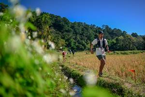 BIB: 
                            <button type="button" onclick="openModal(26574880)" class="btn btn-primary btn-sm float-right btn-popup" data-toggle="modal" data-target=".modal-high-quality">
                        <i class="fas fa-shopping-cart"></i> Add to Cart
                    </button>
                                            <button type="button" onclick="isThisMe(26574880, true)" class="btn btn-success btn-sm float-right btn-popup btn-isme hidden" data-toggle="tooltip" data-placement="bottom" title="นี่คือรูปของคุณใช่ไหม คลิกที่นี่เพื่อเอาเข้าอัลบั้ม">
                        <i class="fas fa-plus"></i> Add to album
                    </button>
                    <button type="button" onclick="isThisMe(26574880, false)" class="btn btn-warning btn-sm float-right btn-popup btn-isnotme hidden">
                        <i class="fas fa-ban"></i> Remove from album
                    </button>