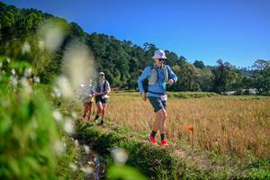 BIB: 
                            <button type="button" onclick="openModal(26575817)" class="btn btn-primary btn-sm float-right btn-popup" data-toggle="modal" data-target=".modal-high-quality">
                        <i class="fas fa-shopping-cart"></i> Add to Cart
                    </button>
                                            <button type="button" onclick="isThisMe(26575817, true)" class="btn btn-success btn-sm float-right btn-popup btn-isme hidden" data-toggle="tooltip" data-placement="bottom" title="นี่คือรูปของคุณใช่ไหม คลิกที่นี่เพื่อเอาเข้าอัลบั้ม">
                        <i class="fas fa-plus"></i> Add to album
                    </button>
                    <button type="button" onclick="isThisMe(26575817, false)" class="btn btn-warning btn-sm float-right btn-popup btn-isnotme hidden">
                        <i class="fas fa-ban"></i> Remove from album
                    </button>