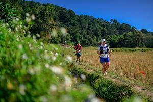 BIB: 
                            <button type="button" onclick="openModal(26582461)" class="btn btn-primary btn-sm float-right btn-popup" data-toggle="modal" data-target=".modal-high-quality">
                        <i class="fas fa-shopping-cart"></i> Add to Cart
                    </button>
                                            <button type="button" onclick="isThisMe(26582461, true)" class="btn btn-success btn-sm float-right btn-popup btn-isme hidden" data-toggle="tooltip" data-placement="bottom" title="นี่คือรูปของคุณใช่ไหม คลิกที่นี่เพื่อเอาเข้าอัลบั้ม">
                        <i class="fas fa-plus"></i> Add to album
                    </button>
                    <button type="button" onclick="isThisMe(26582461, false)" class="btn btn-warning btn-sm float-right btn-popup btn-isnotme hidden">
                        <i class="fas fa-ban"></i> Remove from album
                    </button>