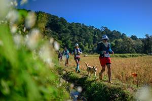 BIB: 
                            <button type="button" onclick="openModal(26572119)" class="btn btn-primary btn-sm float-right btn-popup" data-toggle="modal" data-target=".modal-high-quality">
                        <i class="fas fa-shopping-cart"></i> Add to Cart
                    </button>
                                            <button type="button" onclick="isThisMe(26572119, true)" class="btn btn-success btn-sm float-right btn-popup btn-isme hidden" data-toggle="tooltip" data-placement="bottom" title="นี่คือรูปของคุณใช่ไหม คลิกที่นี่เพื่อเอาเข้าอัลบั้ม">
                        <i class="fas fa-plus"></i> Add to album
                    </button>
                    <button type="button" onclick="isThisMe(26572119, false)" class="btn btn-warning btn-sm float-right btn-popup btn-isnotme hidden">
                        <i class="fas fa-ban"></i> Remove from album
                    </button>