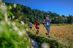 BIB: 
                            <button type="button" onclick="openModal(26574671)" class="btn btn-primary btn-sm float-right btn-popup" data-toggle="modal" data-target=".modal-high-quality">
                        <i class="fas fa-shopping-cart"></i> Add to Cart
                    </button>
                                            <button type="button" onclick="isThisMe(26574671, true)" class="btn btn-success btn-sm float-right btn-popup btn-isme hidden" data-toggle="tooltip" data-placement="bottom" title="นี่คือรูปของคุณใช่ไหม คลิกที่นี่เพื่อเอาเข้าอัลบั้ม">
                        <i class="fas fa-plus"></i> Add to album
                    </button>
                    <button type="button" onclick="isThisMe(26574671, false)" class="btn btn-warning btn-sm float-right btn-popup btn-isnotme hidden">
                        <i class="fas fa-ban"></i> Remove from album
                    </button>