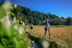 BIB: 
                            <button type="button" onclick="openModal(26572463)" class="btn btn-primary btn-sm float-right btn-popup" data-toggle="modal" data-target=".modal-high-quality">
                        <i class="fas fa-shopping-cart"></i> Add to Cart
                    </button>
                                            <button type="button" onclick="isThisMe(26572463, true)" class="btn btn-success btn-sm float-right btn-popup btn-isme hidden" data-toggle="tooltip" data-placement="bottom" title="นี่คือรูปของคุณใช่ไหม คลิกที่นี่เพื่อเอาเข้าอัลบั้ม">
                        <i class="fas fa-plus"></i> Add to album
                    </button>
                    <button type="button" onclick="isThisMe(26572463, false)" class="btn btn-warning btn-sm float-right btn-popup btn-isnotme hidden">
                        <i class="fas fa-ban"></i> Remove from album
                    </button>