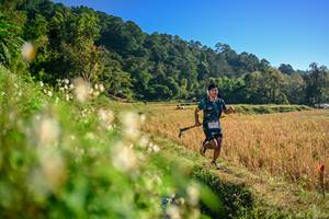 BIB: 
                            <button type="button" onclick="openModal(26570620)" class="btn btn-primary btn-sm float-right btn-popup" data-toggle="modal" data-target=".modal-high-quality">
                        <i class="fas fa-shopping-cart"></i> Add to Cart
                    </button>
                                            <button type="button" onclick="isThisMe(26570620, true)" class="btn btn-success btn-sm float-right btn-popup btn-isme hidden" data-toggle="tooltip" data-placement="bottom" title="นี่คือรูปของคุณใช่ไหม คลิกที่นี่เพื่อเอาเข้าอัลบั้ม">
                        <i class="fas fa-plus"></i> Add to album
                    </button>
                    <button type="button" onclick="isThisMe(26570620, false)" class="btn btn-warning btn-sm float-right btn-popup btn-isnotme hidden">
                        <i class="fas fa-ban"></i> Remove from album
                    </button>