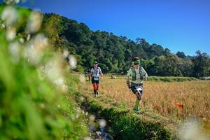 BIB: 
                            <button type="button" onclick="openModal(26571954)" class="btn btn-primary btn-sm float-right btn-popup" data-toggle="modal" data-target=".modal-high-quality">
                        <i class="fas fa-shopping-cart"></i> Add to Cart
                    </button>
                                            <button type="button" onclick="isThisMe(26571954, true)" class="btn btn-success btn-sm float-right btn-popup btn-isme hidden" data-toggle="tooltip" data-placement="bottom" title="นี่คือรูปของคุณใช่ไหม คลิกที่นี่เพื่อเอาเข้าอัลบั้ม">
                        <i class="fas fa-plus"></i> Add to album
                    </button>
                    <button type="button" onclick="isThisMe(26571954, false)" class="btn btn-warning btn-sm float-right btn-popup btn-isnotme hidden">
                        <i class="fas fa-ban"></i> Remove from album
                    </button>