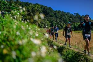 BIB: 
                            <button type="button" onclick="openModal(26583164)" class="btn btn-primary btn-sm float-right btn-popup" data-toggle="modal" data-target=".modal-high-quality">
                        <i class="fas fa-shopping-cart"></i> Add to Cart
                    </button>
                                            <button type="button" onclick="isThisMe(26583164, true)" class="btn btn-success btn-sm float-right btn-popup btn-isme hidden" data-toggle="tooltip" data-placement="bottom" title="นี่คือรูปของคุณใช่ไหม คลิกที่นี่เพื่อเอาเข้าอัลบั้ม">
                        <i class="fas fa-plus"></i> Add to album
                    </button>
                    <button type="button" onclick="isThisMe(26583164, false)" class="btn btn-warning btn-sm float-right btn-popup btn-isnotme hidden">
                        <i class="fas fa-ban"></i> Remove from album
                    </button>