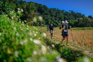 BIB: 
                            <button type="button" onclick="openModal(26582361)" class="btn btn-primary btn-sm float-right btn-popup" data-toggle="modal" data-target=".modal-high-quality">
                        <i class="fas fa-shopping-cart"></i> Add to Cart
                    </button>
                                            <button type="button" onclick="isThisMe(26582361, true)" class="btn btn-success btn-sm float-right btn-popup btn-isme hidden" data-toggle="tooltip" data-placement="bottom" title="นี่คือรูปของคุณใช่ไหม คลิกที่นี่เพื่อเอาเข้าอัลบั้ม">
                        <i class="fas fa-plus"></i> Add to album
                    </button>
                    <button type="button" onclick="isThisMe(26582361, false)" class="btn btn-warning btn-sm float-right btn-popup btn-isnotme hidden">
                        <i class="fas fa-ban"></i> Remove from album
                    </button>