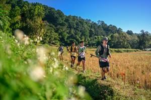 BIB: 
                            <button type="button" onclick="openModal(26570806)" class="btn btn-primary btn-sm float-right btn-popup" data-toggle="modal" data-target=".modal-high-quality">
                        <i class="fas fa-shopping-cart"></i> Add to Cart
                    </button>
                                            <button type="button" onclick="isThisMe(26570806, true)" class="btn btn-success btn-sm float-right btn-popup btn-isme hidden" data-toggle="tooltip" data-placement="bottom" title="นี่คือรูปของคุณใช่ไหม คลิกที่นี่เพื่อเอาเข้าอัลบั้ม">
                        <i class="fas fa-plus"></i> Add to album
                    </button>
                    <button type="button" onclick="isThisMe(26570806, false)" class="btn btn-warning btn-sm float-right btn-popup btn-isnotme hidden">
                        <i class="fas fa-ban"></i> Remove from album
                    </button>