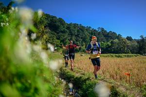 BIB: 
                            <button type="button" onclick="openModal(26573643)" class="btn btn-primary btn-sm float-right btn-popup" data-toggle="modal" data-target=".modal-high-quality">
                        <i class="fas fa-shopping-cart"></i> Add to Cart
                    </button>
                                            <button type="button" onclick="isThisMe(26573643, true)" class="btn btn-success btn-sm float-right btn-popup btn-isme hidden" data-toggle="tooltip" data-placement="bottom" title="นี่คือรูปของคุณใช่ไหม คลิกที่นี่เพื่อเอาเข้าอัลบั้ม">
                        <i class="fas fa-plus"></i> Add to album
                    </button>
                    <button type="button" onclick="isThisMe(26573643, false)" class="btn btn-warning btn-sm float-right btn-popup btn-isnotme hidden">
                        <i class="fas fa-ban"></i> Remove from album
                    </button>