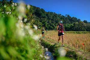 BIB: 
                            <button type="button" onclick="openModal(26575356)" class="btn btn-primary btn-sm float-right btn-popup" data-toggle="modal" data-target=".modal-high-quality">
                        <i class="fas fa-shopping-cart"></i> Add to Cart
                    </button>
                                            <button type="button" onclick="isThisMe(26575356, true)" class="btn btn-success btn-sm float-right btn-popup btn-isme hidden" data-toggle="tooltip" data-placement="bottom" title="นี่คือรูปของคุณใช่ไหม คลิกที่นี่เพื่อเอาเข้าอัลบั้ม">
                        <i class="fas fa-plus"></i> Add to album
                    </button>
                    <button type="button" onclick="isThisMe(26575356, false)" class="btn btn-warning btn-sm float-right btn-popup btn-isnotme hidden">
                        <i class="fas fa-ban"></i> Remove from album
                    </button>