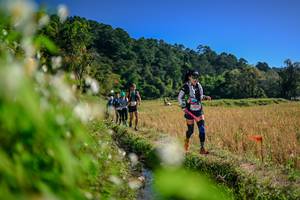 BIB: 
                            <button type="button" onclick="openModal(26574810)" class="btn btn-primary btn-sm float-right btn-popup" data-toggle="modal" data-target=".modal-high-quality">
                        <i class="fas fa-shopping-cart"></i> Add to Cart
                    </button>
                                            <button type="button" onclick="isThisMe(26574810, true)" class="btn btn-success btn-sm float-right btn-popup btn-isme hidden" data-toggle="tooltip" data-placement="bottom" title="นี่คือรูปของคุณใช่ไหม คลิกที่นี่เพื่อเอาเข้าอัลบั้ม">
                        <i class="fas fa-plus"></i> Add to album
                    </button>
                    <button type="button" onclick="isThisMe(26574810, false)" class="btn btn-warning btn-sm float-right btn-popup btn-isnotme hidden">
                        <i class="fas fa-ban"></i> Remove from album
                    </button>