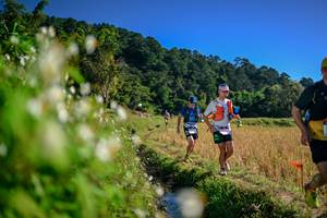 BIB: 
                            <button type="button" onclick="openModal(26573149)" class="btn btn-primary btn-sm float-right btn-popup" data-toggle="modal" data-target=".modal-high-quality">
                        <i class="fas fa-shopping-cart"></i> Add to Cart
                    </button>
                                            <button type="button" onclick="isThisMe(26573149, true)" class="btn btn-success btn-sm float-right btn-popup btn-isme hidden" data-toggle="tooltip" data-placement="bottom" title="นี่คือรูปของคุณใช่ไหม คลิกที่นี่เพื่อเอาเข้าอัลบั้ม">
                        <i class="fas fa-plus"></i> Add to album
                    </button>
                    <button type="button" onclick="isThisMe(26573149, false)" class="btn btn-warning btn-sm float-right btn-popup btn-isnotme hidden">
                        <i class="fas fa-ban"></i> Remove from album
                    </button>