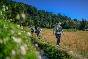 BIB: 
                            <button type="button" onclick="openModal(26582619)" class="btn btn-primary btn-sm float-right btn-popup" data-toggle="modal" data-target=".modal-high-quality">
                        <i class="fas fa-shopping-cart"></i> Add to Cart
                    </button>
                                            <button type="button" onclick="isThisMe(26582619, true)" class="btn btn-success btn-sm float-right btn-popup btn-isme hidden" data-toggle="tooltip" data-placement="bottom" title="นี่คือรูปของคุณใช่ไหม คลิกที่นี่เพื่อเอาเข้าอัลบั้ม">
                        <i class="fas fa-plus"></i> Add to album
                    </button>
                    <button type="button" onclick="isThisMe(26582619, false)" class="btn btn-warning btn-sm float-right btn-popup btn-isnotme hidden">
                        <i class="fas fa-ban"></i> Remove from album
                    </button>