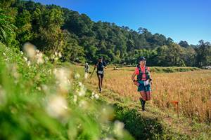 BIB: 
                            <button type="button" onclick="openModal(26570776)" class="btn btn-primary btn-sm float-right btn-popup" data-toggle="modal" data-target=".modal-high-quality">
                        <i class="fas fa-shopping-cart"></i> Add to Cart
                    </button>
                                            <button type="button" onclick="isThisMe(26570776, true)" class="btn btn-success btn-sm float-right btn-popup btn-isme hidden" data-toggle="tooltip" data-placement="bottom" title="นี่คือรูปของคุณใช่ไหม คลิกที่นี่เพื่อเอาเข้าอัลบั้ม">
                        <i class="fas fa-plus"></i> Add to album
                    </button>
                    <button type="button" onclick="isThisMe(26570776, false)" class="btn btn-warning btn-sm float-right btn-popup btn-isnotme hidden">
                        <i class="fas fa-ban"></i> Remove from album
                    </button>