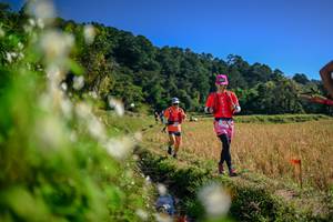 BIB: 
                            <button type="button" onclick="openModal(26574198)" class="btn btn-primary btn-sm float-right btn-popup" data-toggle="modal" data-target=".modal-high-quality">
                        <i class="fas fa-shopping-cart"></i> Add to Cart
                    </button>
                                            <button type="button" onclick="isThisMe(26574198, true)" class="btn btn-success btn-sm float-right btn-popup btn-isme hidden" data-toggle="tooltip" data-placement="bottom" title="นี่คือรูปของคุณใช่ไหม คลิกที่นี่เพื่อเอาเข้าอัลบั้ม">
                        <i class="fas fa-plus"></i> Add to album
                    </button>
                    <button type="button" onclick="isThisMe(26574198, false)" class="btn btn-warning btn-sm float-right btn-popup btn-isnotme hidden">
                        <i class="fas fa-ban"></i> Remove from album
                    </button>