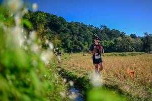 BIB: 
                            <button type="button" onclick="openModal(26573101)" class="btn btn-primary btn-sm float-right btn-popup" data-toggle="modal" data-target=".modal-high-quality">
                        <i class="fas fa-shopping-cart"></i> Add to Cart
                    </button>
                                            <button type="button" onclick="isThisMe(26573101, true)" class="btn btn-success btn-sm float-right btn-popup btn-isme hidden" data-toggle="tooltip" data-placement="bottom" title="นี่คือรูปของคุณใช่ไหม คลิกที่นี่เพื่อเอาเข้าอัลบั้ม">
                        <i class="fas fa-plus"></i> Add to album
                    </button>
                    <button type="button" onclick="isThisMe(26573101, false)" class="btn btn-warning btn-sm float-right btn-popup btn-isnotme hidden">
                        <i class="fas fa-ban"></i> Remove from album
                    </button>