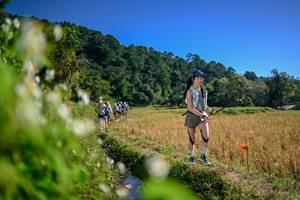 BIB: 
                            <button type="button" onclick="openModal(26575459)" class="btn btn-primary btn-sm float-right btn-popup" data-toggle="modal" data-target=".modal-high-quality">
                        <i class="fas fa-shopping-cart"></i> Add to Cart
                    </button>
                                            <button type="button" onclick="isThisMe(26575459, true)" class="btn btn-success btn-sm float-right btn-popup btn-isme hidden" data-toggle="tooltip" data-placement="bottom" title="นี่คือรูปของคุณใช่ไหม คลิกที่นี่เพื่อเอาเข้าอัลบั้ม">
                        <i class="fas fa-plus"></i> Add to album
                    </button>
                    <button type="button" onclick="isThisMe(26575459, false)" class="btn btn-warning btn-sm float-right btn-popup btn-isnotme hidden">
                        <i class="fas fa-ban"></i> Remove from album
                    </button>