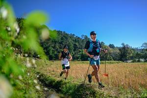 BIB: 
                            <button type="button" onclick="openModal(26579727)" class="btn btn-primary btn-sm float-right btn-popup" data-toggle="modal" data-target=".modal-high-quality">
                        <i class="fas fa-shopping-cart"></i> Add to Cart
                    </button>
                                            <button type="button" onclick="isThisMe(26579727, true)" class="btn btn-success btn-sm float-right btn-popup btn-isme hidden" data-toggle="tooltip" data-placement="bottom" title="นี่คือรูปของคุณใช่ไหม คลิกที่นี่เพื่อเอาเข้าอัลบั้ม">
                        <i class="fas fa-plus"></i> Add to album
                    </button>
                    <button type="button" onclick="isThisMe(26579727, false)" class="btn btn-warning btn-sm float-right btn-popup btn-isnotme hidden">
                        <i class="fas fa-ban"></i> Remove from album
                    </button>