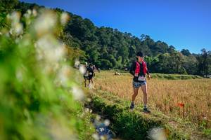 BIB: 
                            <button type="button" onclick="openModal(26571593)" class="btn btn-primary btn-sm float-right btn-popup" data-toggle="modal" data-target=".modal-high-quality">
                        <i class="fas fa-shopping-cart"></i> Add to Cart
                    </button>
                                            <button type="button" onclick="isThisMe(26571593, true)" class="btn btn-success btn-sm float-right btn-popup btn-isme hidden" data-toggle="tooltip" data-placement="bottom" title="นี่คือรูปของคุณใช่ไหม คลิกที่นี่เพื่อเอาเข้าอัลบั้ม">
                        <i class="fas fa-plus"></i> Add to album
                    </button>
                    <button type="button" onclick="isThisMe(26571593, false)" class="btn btn-warning btn-sm float-right btn-popup btn-isnotme hidden">
                        <i class="fas fa-ban"></i> Remove from album
                    </button>