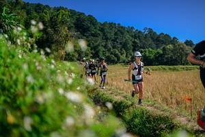 BIB: 
                            <button type="button" onclick="openModal(26582078)" class="btn btn-primary btn-sm float-right btn-popup" data-toggle="modal" data-target=".modal-high-quality">
                        <i class="fas fa-shopping-cart"></i> Add to Cart
                    </button>
                                            <button type="button" onclick="isThisMe(26582078, true)" class="btn btn-success btn-sm float-right btn-popup btn-isme hidden" data-toggle="tooltip" data-placement="bottom" title="นี่คือรูปของคุณใช่ไหม คลิกที่นี่เพื่อเอาเข้าอัลบั้ม">
                        <i class="fas fa-plus"></i> Add to album
                    </button>
                    <button type="button" onclick="isThisMe(26582078, false)" class="btn btn-warning btn-sm float-right btn-popup btn-isnotme hidden">
                        <i class="fas fa-ban"></i> Remove from album
                    </button>