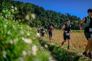 BIB: 
                            <button type="button" onclick="openModal(26583015)" class="btn btn-primary btn-sm float-right btn-popup" data-toggle="modal" data-target=".modal-high-quality">
                        <i class="fas fa-shopping-cart"></i> Add to Cart
                    </button>
                                            <button type="button" onclick="isThisMe(26583015, true)" class="btn btn-success btn-sm float-right btn-popup btn-isme hidden" data-toggle="tooltip" data-placement="bottom" title="นี่คือรูปของคุณใช่ไหม คลิกที่นี่เพื่อเอาเข้าอัลบั้ม">
                        <i class="fas fa-plus"></i> Add to album
                    </button>
                    <button type="button" onclick="isThisMe(26583015, false)" class="btn btn-warning btn-sm float-right btn-popup btn-isnotme hidden">
                        <i class="fas fa-ban"></i> Remove from album
                    </button>