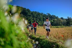 BIB: 
                            <button type="button" onclick="openModal(26572094)" class="btn btn-primary btn-sm float-right btn-popup" data-toggle="modal" data-target=".modal-high-quality">
                        <i class="fas fa-shopping-cart"></i> Add to Cart
                    </button>
                                            <button type="button" onclick="isThisMe(26572094, true)" class="btn btn-success btn-sm float-right btn-popup btn-isme hidden" data-toggle="tooltip" data-placement="bottom" title="นี่คือรูปของคุณใช่ไหม คลิกที่นี่เพื่อเอาเข้าอัลบั้ม">
                        <i class="fas fa-plus"></i> Add to album
                    </button>
                    <button type="button" onclick="isThisMe(26572094, false)" class="btn btn-warning btn-sm float-right btn-popup btn-isnotme hidden">
                        <i class="fas fa-ban"></i> Remove from album
                    </button>